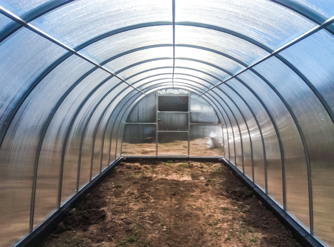 Фото отзыва: Ольга